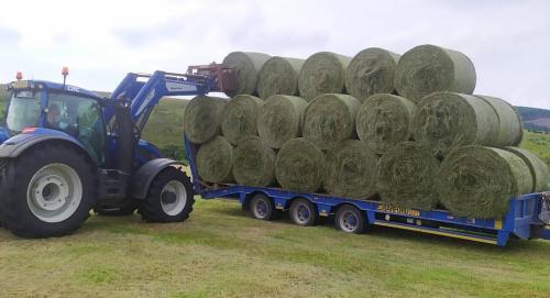 hay bales